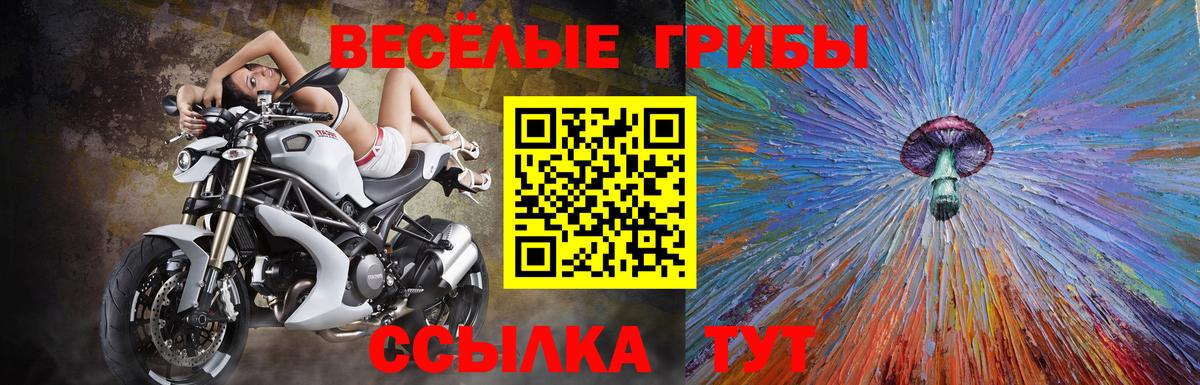 Галлюциногенные грибы мухоморы  Галлюциногенные грибы Psilocybine cubensis  Вход с VPN  Донецк 
